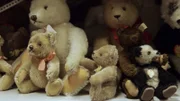 Der Bär mit dem Knopf im Ohr – der "Teddy".