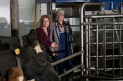Modernisierung und Nachhaltigkeit wird bei den Fallers auch thematisiert: Hier in Folge 949 zeigt Karl (Peter Schell) seiner Bea (Christiane Brammer) stolz den neuen Melkroboter.