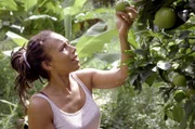 Waël Toto pflückt die Zutaten für ihre Gerichte direkt im eigenen Garten.