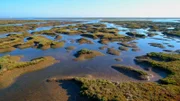 Tejo Delta.