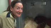 Für Dr. Christina Geiger heißt es Abschied nehmen von Orang-Utan Lucu, den sie von Geburt an gekannt hat.