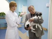 Hund Hugo sorgt für Verwirrung in der Sachsenklinik. Der zugelaufene Vierbeiner ist ausgebüxt und springt nun ausgerechnet vor den Augen der Hygieneärztin Dr. Anne Weiland auf Prof. Simonis Arm, der dadurch in Erklärungsnot gerät.