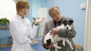 Hund Hugo sorgt für Verwirrung in der Sachsenklinik. Der zugelaufene Vierbeiner springt vor den Augen der Hygieneärztin auf Prof. Simonis Arm.