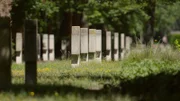 Soldatengräber auf dem Westfriedhof Magdeburg