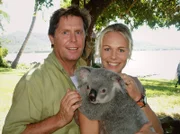 Die Biologin Anne van Gaard (Claudine Wilde) weiht Jan Hansen (Sigmar Solbach) in ihre Arbeit mit jungen Koalas ein.