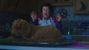 Wuffel hat sich in der Küche von Frau Hobbs (Angela Curran) versteckt.