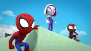 L-R: Spidey, Ghost-Spider, Spin