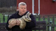 Tierpfleger Mark Kolhorst wurde schon mehrmals von Schlangen gebissen.