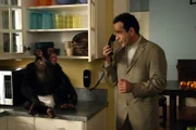 Kann Adrian Monk (Tony Shalhoub, r.) die Unschuld des Schimpansen Darwin (l.) beweisen?