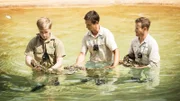 Robert (l.) gets in the water with Gloria, a 12-foot reticulated python, to swim alongside her for the first time in the Crocoseum.
