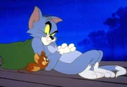 Durch eine Verkettung unglücklicher Zufälle verlieren Kater Tom und Maus Jerry ihr Zuhause. Jetzt heißt es: zusammenhalten.