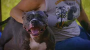 Happy dog.