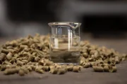 Aus diesen gepressten Stroh-Pellets wird flüssiger Treibstoff.