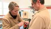 Ein Kea-Papagei hat sich schwer am Kopf verletzt. Dr. Nicole Schauerte gibt ihm eine Spritze gegen die Schmerzen.