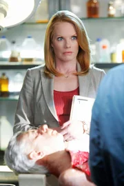 Catherine (Marg Helgenberger) diskutiert den ungewöhnlichen Fall.