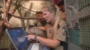 Bei den Faultieren steht Nachwuchs an – Dr. Nicole Schauerte macht bei dem Faultier-Weibchen Hanja einen Ultraschall.