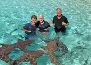 Mutig: Ohne Schutz schwimmen Matthias Reinschmidt, Frank Elstner und Baron von Kerckerinck mit den Ammenhaien auf den Bahamas.