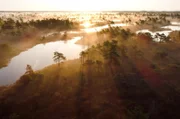 Moore üben eine tiefe Faszination aus: Die mystischen Landschaften sind Heimat vieler selten gewordener Tier- und Pflanzenarten.