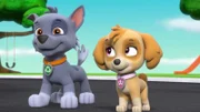 L-R: Rocky, Skye