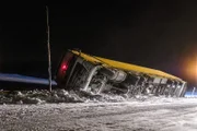Ein mit Lachs beladener Lastwagen ist in einen tiefen Graben gekippt.