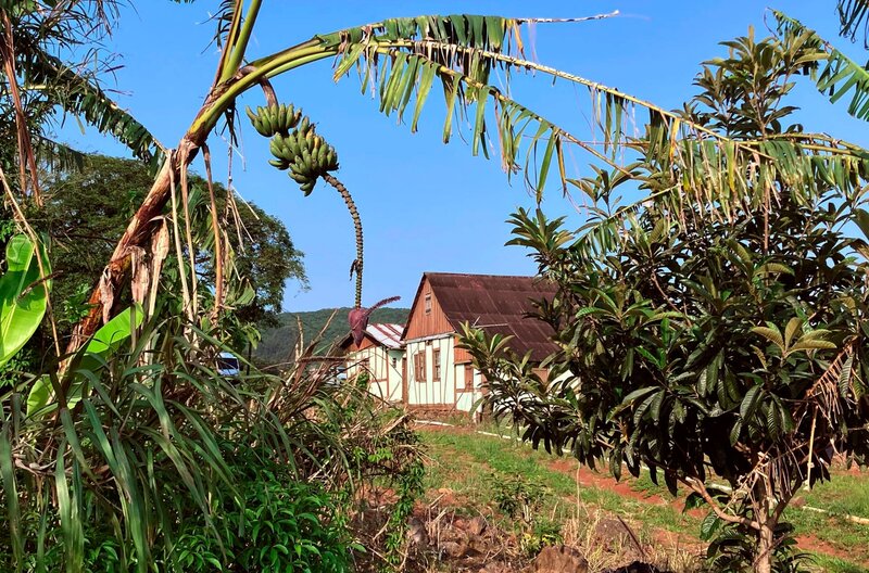 Hunsrück unter Palmen – Auf der Spur der Auswanderer in Brasilien (D, 2024)