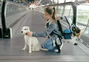 Rebecca hat beschlossen, sich auf den Weg zu ihrer Mutter zu machen und mit Sack, Pack und Hund nach Amerika zu fliegen.