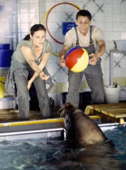 Wenige Stunden nach der erfolgreichen Darmoperation spielt die Robbe Olli wieder fröhlich mit Dr. Mertens und dem Tierpfleger Conny.