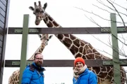 Im Augsburger Zoo findet Checker Julian unter anderem heraus, wie oft das Herz einer Giraffe schlägt. Links: Zootierarzt Markus.