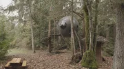 Die Kugelbaumhäuser auf Vancouver Island sind bewusst zwischen Bäumen versteckt.
