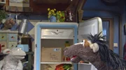 Oje, Pferd hat vergessen, Tante Hüflis Geburtstagsgeschenk rechtzeitig abzuschicken!