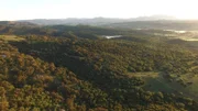 Korkeichenwälder.