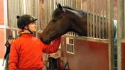 Jockey René Piechulek und sein Rennpferd Mendocino sind vor dem wichtigen Pferderennen "Großer Preis von Bayern" nervös.