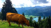 Wolfgangsee.