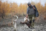 Tyler carrying a moose head alongside his dogs.