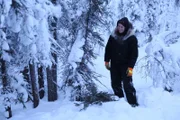 Krin Nelson gathering spruce.