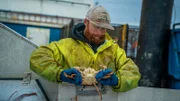 Summer Bay crew Nick sorting crab