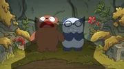 Baby Grizz, Baby Panda