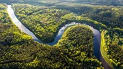 Der Amazonas-Regenwald befindet sich im Einzugsgebiet des Amazonas-Flusses und erstreckt sich über neun Staaten Südamerikas.