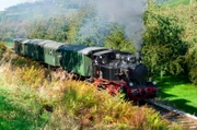 Die Achertalbahn auf der Strecke Kappelrodeck. An manchen Sonntagen fahren bis zu 1.000 Fahrgäste durch die Ortenau. Für sie ist der Dampfzug ein Star.