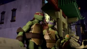 L-R: Raphael, Donatello, Michelangelo