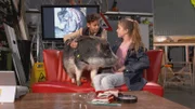 Jamey und Lina haben ein Schwein zu Besuch.