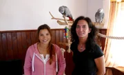 Die Graupapageien Cynthia und Rico halten sich gerne außerhalb ihres Käfigs auf. Hier haben sie Platz zum Fliegen.