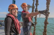 Loren Timmermans und Stijn van Hoestenberghe bauen die erste Hochsee-Muschelzucht Belgiens auf. Bisher mussten die muschelbegeisterten Belgier die Köstlichkeit stets importieren.