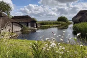 Die Norfolk Broads sind eine von Menschen geschaffene Kulturlandschaft. Zum Dachdecken wird noch heute Reet verwendet.