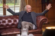 Larry David (Larry David)