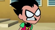 Robin