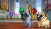 L-R: Bingo (voiced by Issac Ryan Brown), Rolly (voiced by Sam Lavagnino)