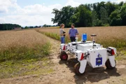 Pflanzenzüchterin Judith Reese und Benjamin Kisliuk vom Deutschen Forschungszentrum für künstliche Intelligenz stehen mit KI-Roboter Valdemar auf einem Rapsfeld bei Lage.
