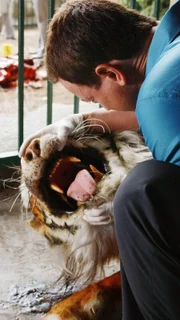 Im New Yorker Zoo wird vor den Augen der Zuschauer ein Mann von einem sibirischen Tiger zerfleischt. Detective Mac Taylor (Gary Sinise) ermittelt.
