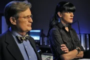 Ducky und Abby ermitteln in einem neuen Mordfall.